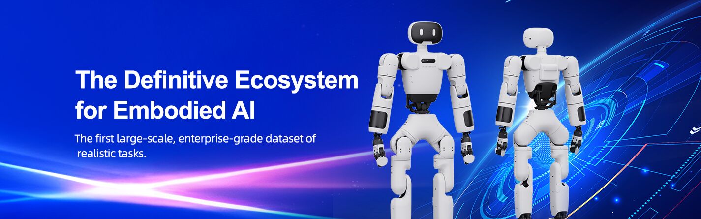 کارت شبکه ملانوکس