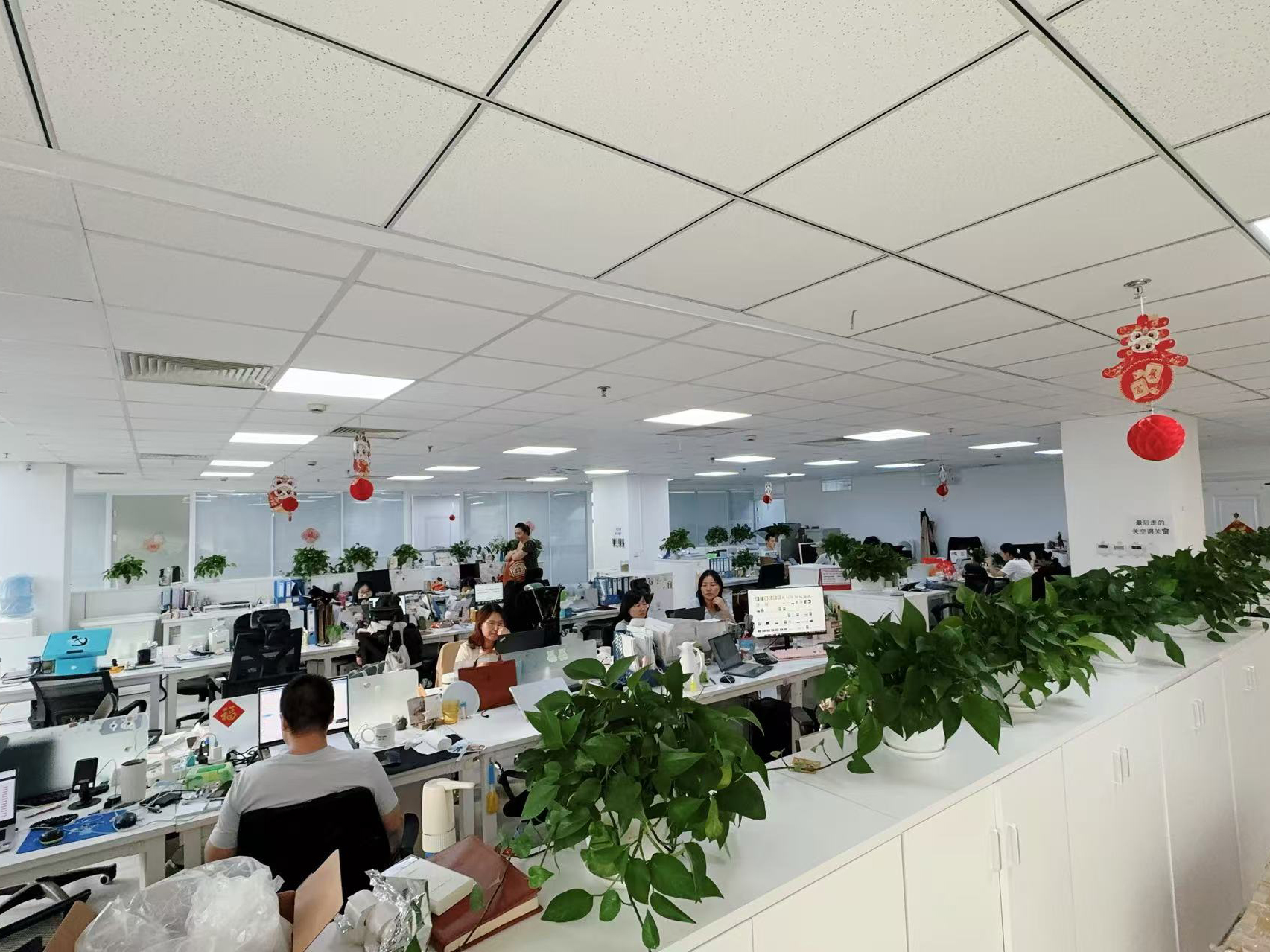 چین Hong Kong Starsurge Group Co., Limited نمایه شرکت