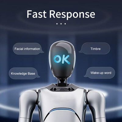 OmniHand 2025 کامپکت با DOF بالا و تعاملی با دستان ساده، فاکتور شکل کوچک، سازگاری بی عیب