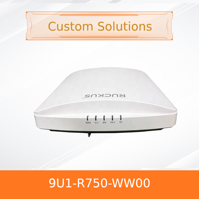 2.4G و 5G Ruckus Wireless Controller AP ZoneDirector 1200 1000Mbps